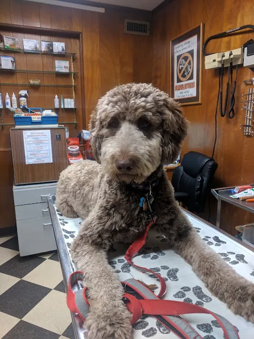 Ivens-Bronstein Veterinary Hospital Picture 5