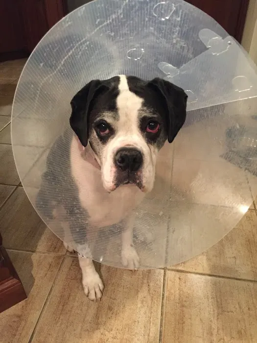 Ivens-Bronstein Veterinary Hospital Picture 6