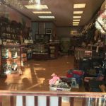 Vanity Pups Boutique