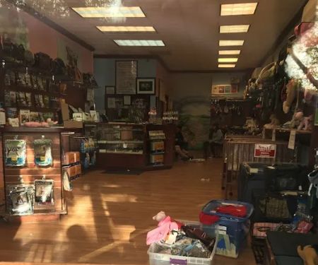 Vanity Pups Boutique