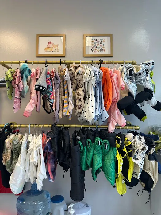 Vanity Pups Boutique Picture 4