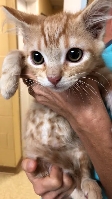 Pets First Veterinary Center Picture 8