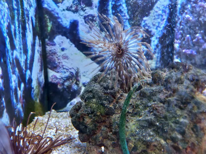 Petco Picture 10