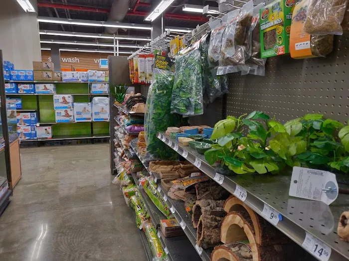 Petco Picture 7