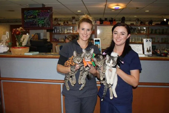 Bryn Mawr Veterinary Hospital Picture 1