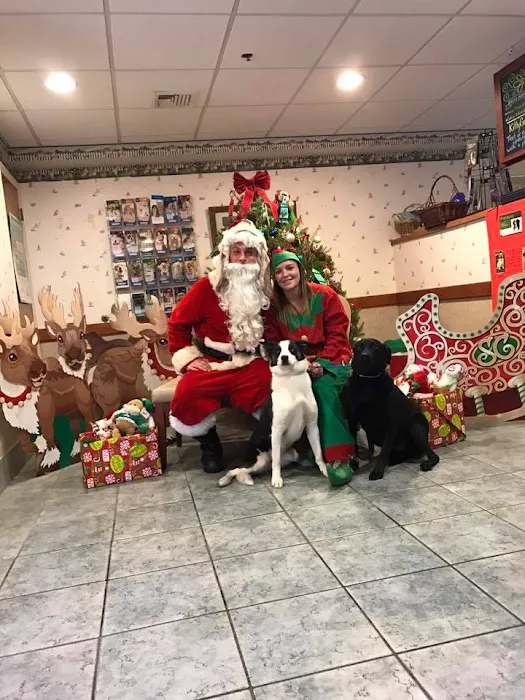 Bryn Mawr Veterinary Hospital Picture 6