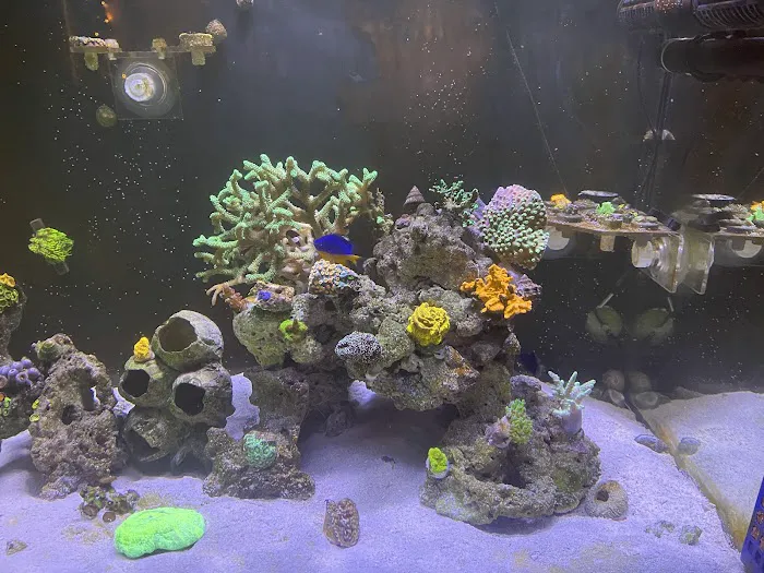 Frank's Frag Farm Picture 4