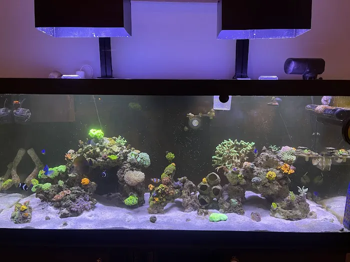 Frank's Frag Farm Picture 9