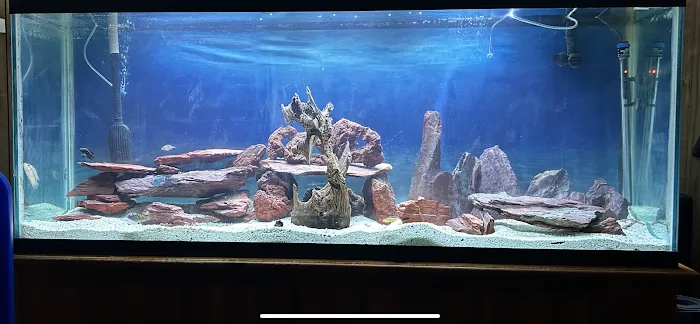 Frank's Frag Farm Picture 10