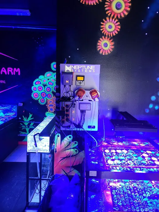 Frank's Frag Farm Picture 6