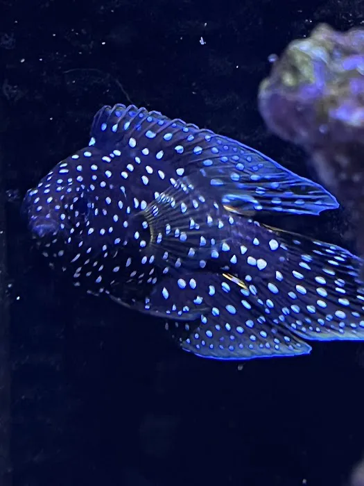 Frank's Frag Farm Picture 3