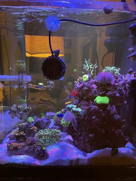 Frank's Frag Farm Picture 7