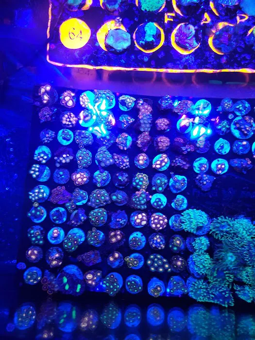 Frank's Frag Farm Picture 1