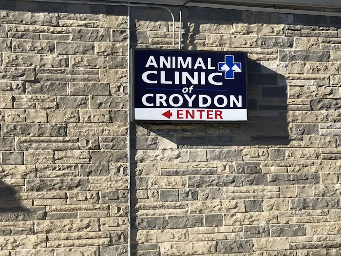 Joyful Animal Hospital Picture 6