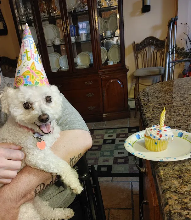 Joyful Animal Hospital Picture 3