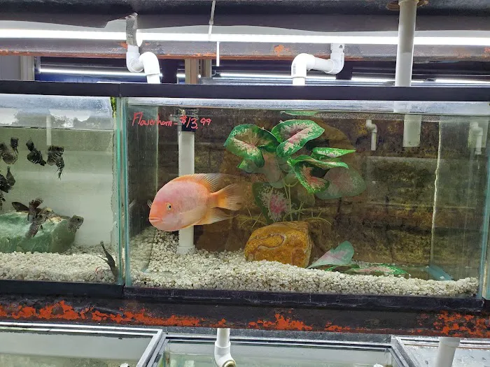 AquaScapeOnline Picture 3