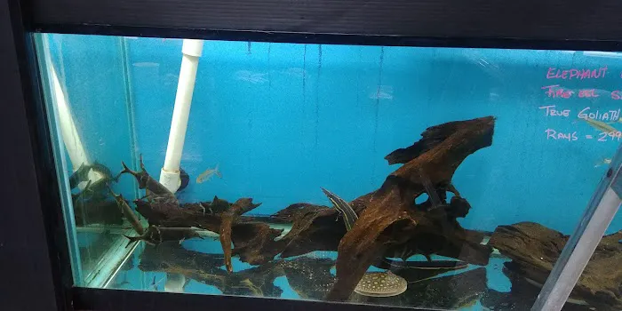 AquaScapeOnline Picture 2
