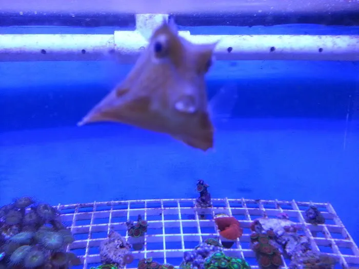 AquaScapeOnline Picture 4