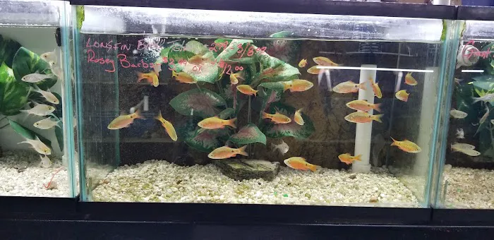 AquaScapeOnline Picture 5