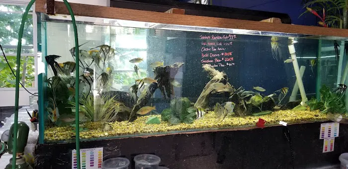 AquaScapeOnline Picture 6