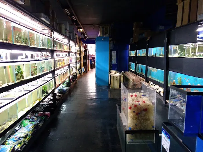 Aquarium Paradise Picture 9
