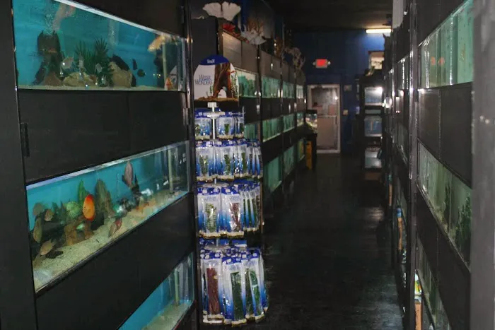 Aquarium Paradise Picture 1
