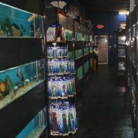 Aquarium Paradise ico