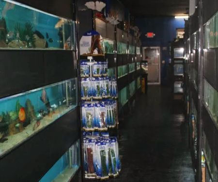 Aquarium Paradise