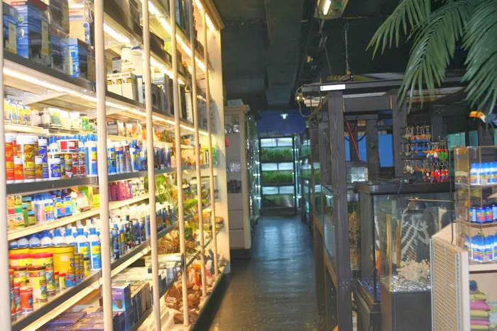 Aquarium Paradise Picture 7