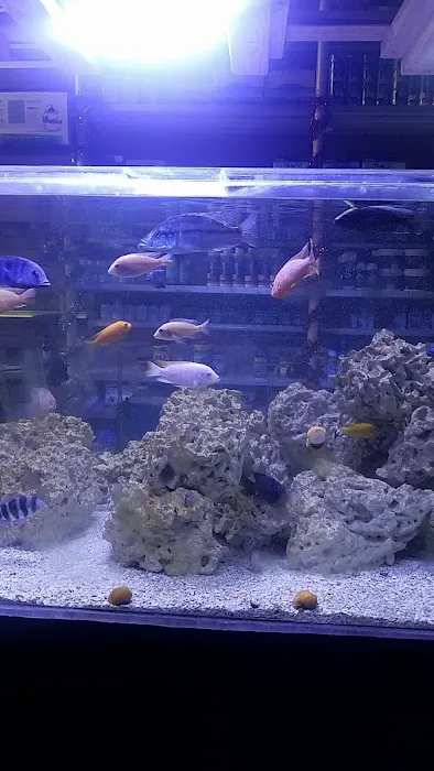 Aquarium Paradise Picture 4