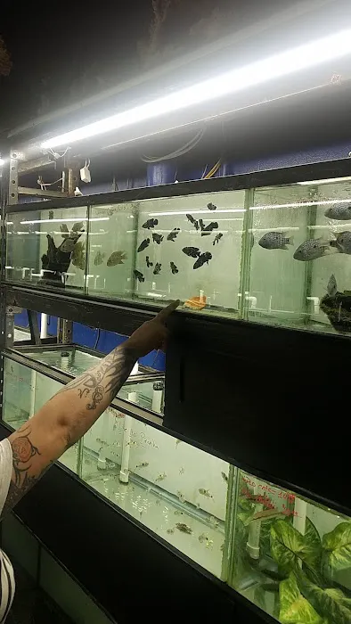 Aquarium Paradise Picture 5