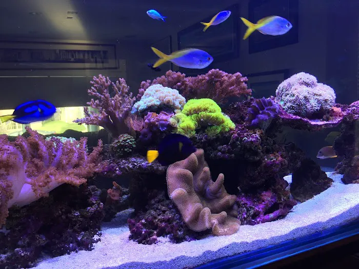 Reef Bar Aquarium Services Picture 2
