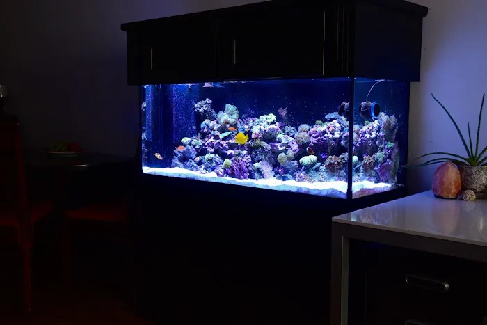 Reef Bar Aquarium Services Picture 1