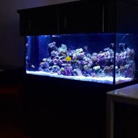 Reef Bar Aquarium Services ico