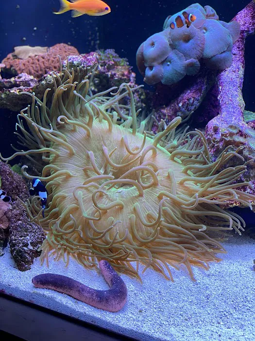 Reef Bar Aquarium Services Picture 4