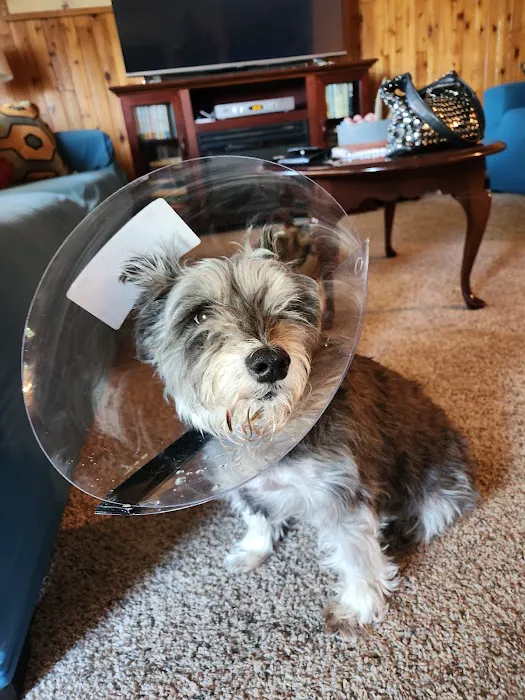 Street Road Animal Hospital Picture 8