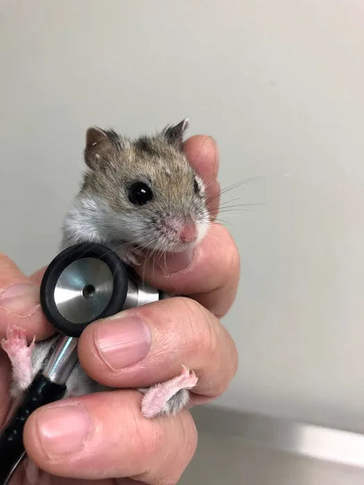 Street Road Animal Hospital Picture 9