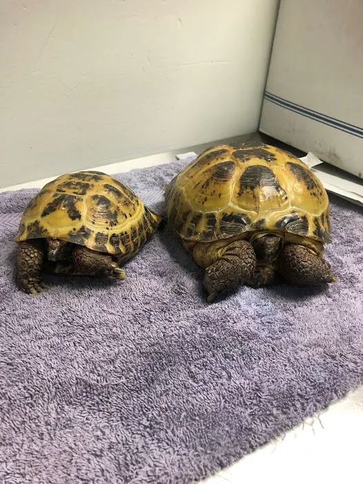 Street Road Animal Hospital Picture 10