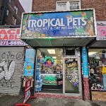 Tropical pets