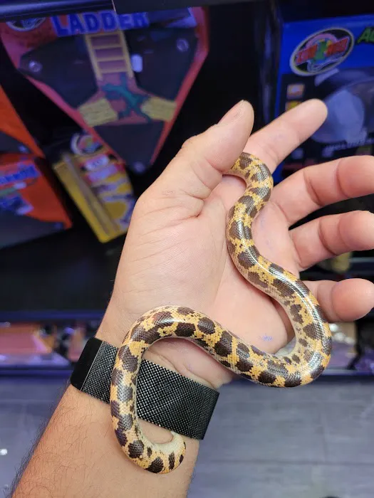 Tropical pets Picture 2