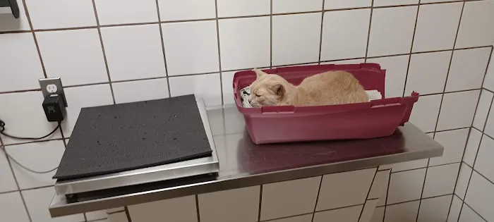 Bridgewater Veterinary Hospital (Bensalem) Picture 1