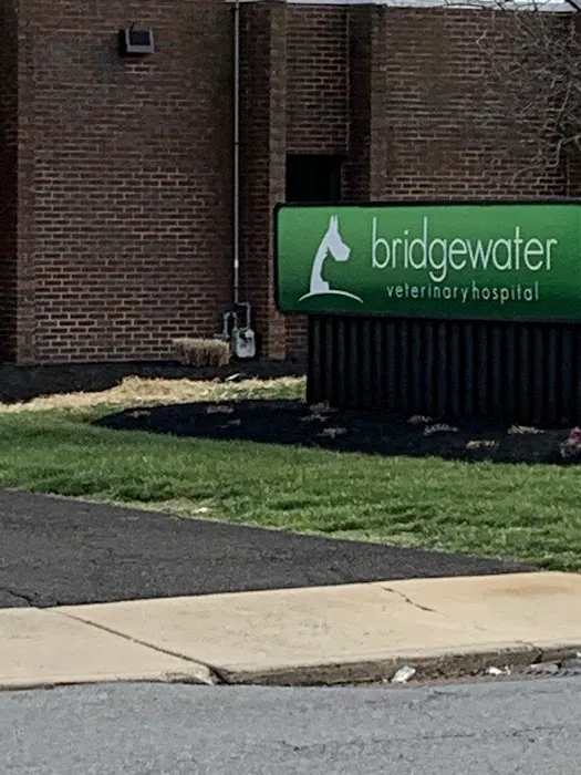 Bridgewater Veterinary Hospital (Bensalem) Picture 10