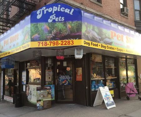 Tropical Pets