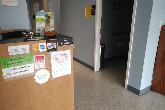 Allergy Ear and Skin Care for Animals Picture 3