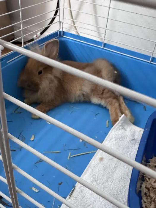 Crosby Pet Center Inc Picture 1