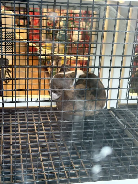 Crosby Pet Center Inc Picture 9