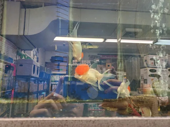 Crosby Pet Center Inc Picture 4
