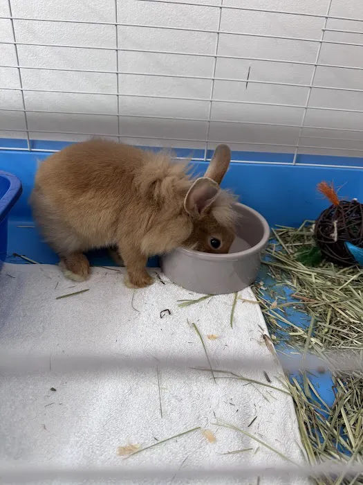 Crosby Pet Center Inc Picture 10
