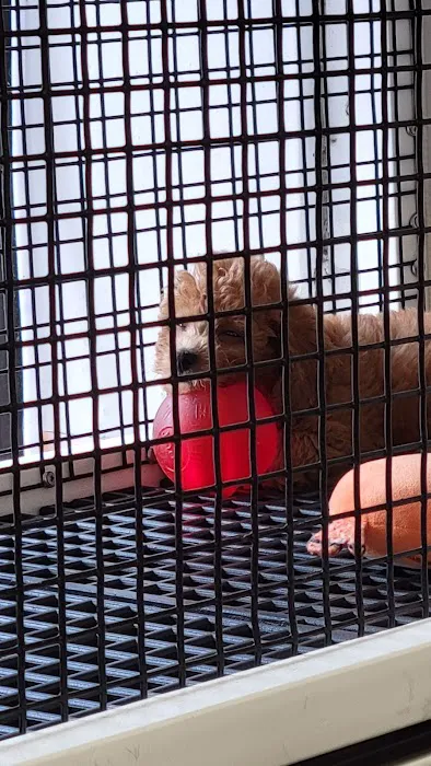 Crosby Pet Center Inc Picture 7