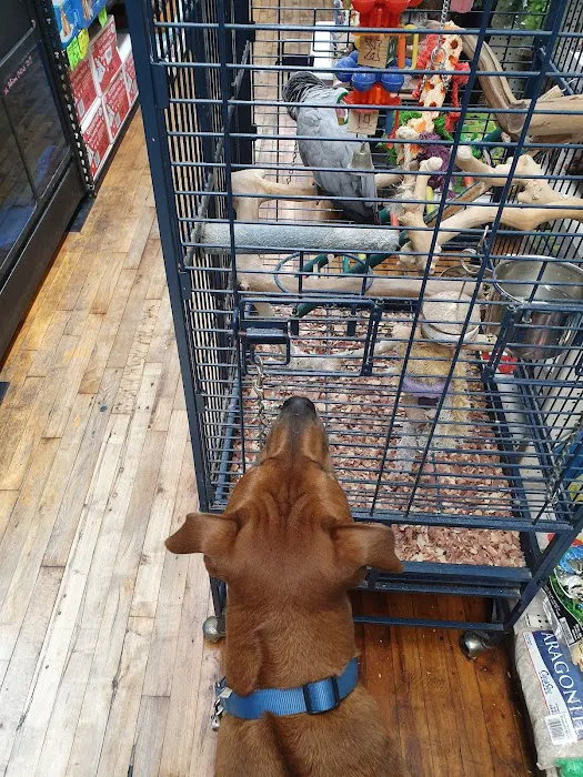 Crosby Pet Center Inc Picture 5